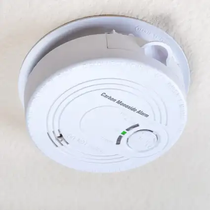 carbon monoxide alarm on ceiling